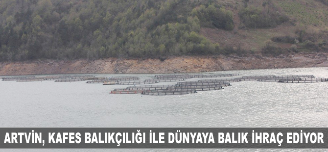 Artvin, kafes balıkçılığı ile dünyaya balık ihraç ediyor
