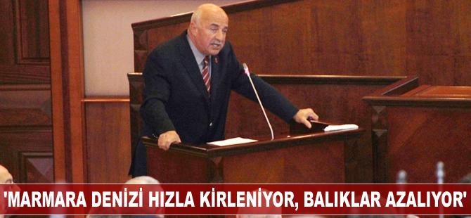 'Marmara Denizi hızla kirleniyor, balıklar azalıyor'