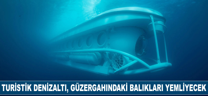 Turistik denizaltı, güzergahındaki balıkları yemliyor