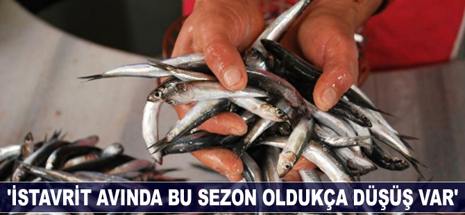 'İstavrit avında bu sezon oldukça düşüş var'