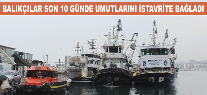 Balık sezonunun son 10 günü, balıkçıların umutları istavritte
