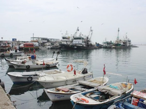 Balık sezonunun son 10 günü, balıkçıların umutları istavritte