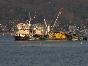 Giresunlu balıkçılar bu yılki av sezonundan memnun