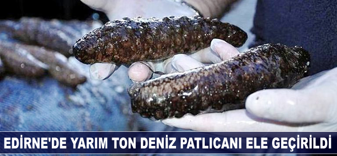Edirne'de yarım ton deniz patlıcanı ele geçirildi