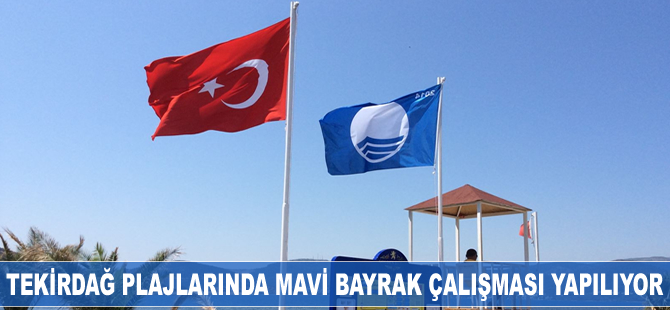 Tekirdağ plajlarına Mavi Bayrak çalışması yapılıyor