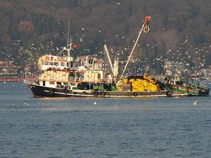 Balıkçıların umudu 1 Eylül'de başlayacak yeni sezona kaldı