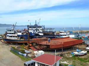 Ordulu balıkçılar, teknelerini yenilemek için devletten destek bekliyor