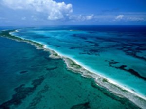 Pasifik Okyanusu'nda Bin 600 metre derinlikten maden çıkarılacak