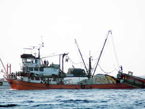 Denizlerde av yasağı, 15 Nisan'da başlıyor