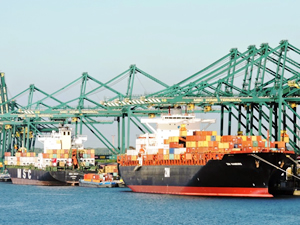 ZIM ve MSC, Kuzey Avrupa Hattı'nı genişletiyor