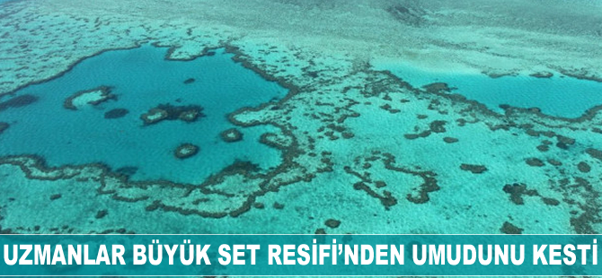 Uzmanlar Büyük Set Resifi'nden "Umudu Kesti"