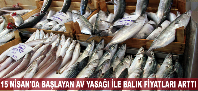 Av yasağı başladı, balık fiyatları arttı