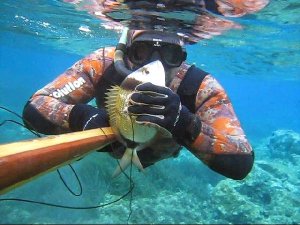 Zıpkınla Balık Avlama Türkiye Şampiyonası Muğla'da yapılacak