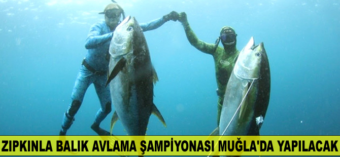 Zıpkınla Balık Avlama Türkiye Şampiyonası Muğla'da yapılacak
