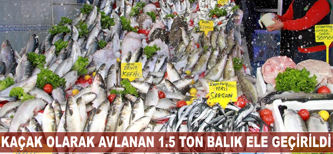 Ardahan'ın Çıldır ilçesinde jandarma balık kaçakçılarına suçüstü yaptı