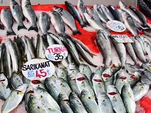 Av yasağının başlamasıylaı balık fiyatları artışa geçti
