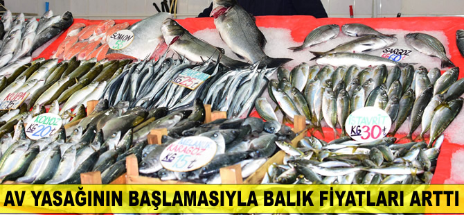 Av yasağının başlamasıylaı balık fiyatları artışa geçti