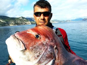 Bodrum'da 19 kilo ağırlığında dev trança yakalandı