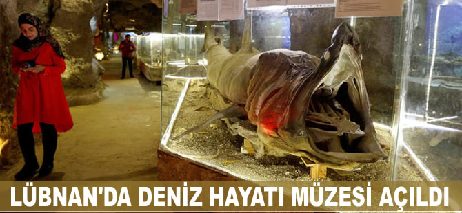 Lübnan'da Deniz Hayatı Müzesi açıldı