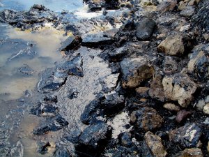 Tonlarca yakıt sızdıran M/V Lady Tuna'nın bilirkişi raporu açıklandı