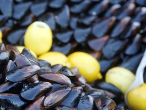 İzmir'de 24 ton kaçak midyeye el konuldu