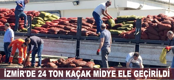İzmir'de 24 ton kaçak midyeye el konuldu