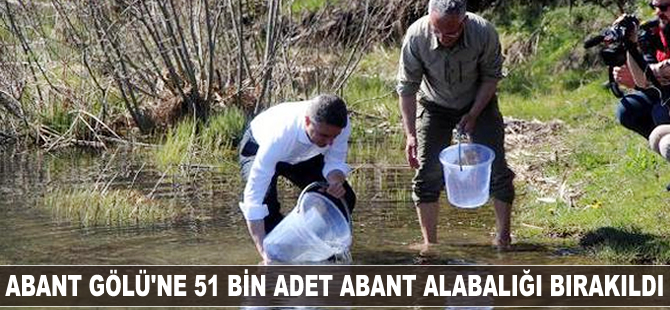 Abant Gölü'ne 51 bin adet Abant Alabalığı bırakıldı