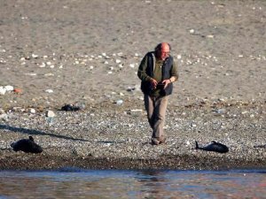 Silahla vurulan yunuslar bulunamadı, balıkçılar serbest kaldı