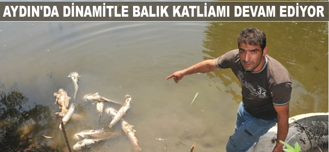 Aydın'da dinamitle balık katliamı devam ediyor