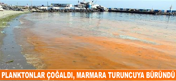 Plankton çoğaldı, Marmara Denizi turuncuya büründü