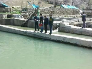 Van'da balık tesisleri ve kuluçkahanelerde denetim yapıldı