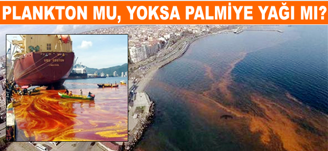 Marmara'yı turuncuya boyayan planktonlar mı, yoksa palmiye yağı taşıyan gemiler mi?