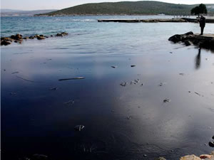 M/V Lady Tuna adlı geminin sızdırdığı 50 ton yakıt temizlendi