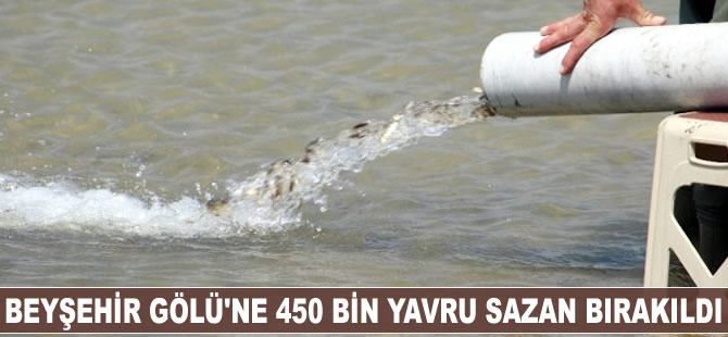 Beyşehir Gölü'ne 450 bin yavru sazan balığı bırakıldı