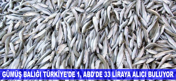 'Gümüş' Türkiye'de 1, AB'de 33 liraya alıcı buluyor