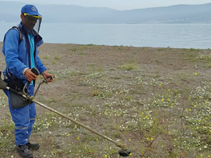 Bursa'da plajlar ve sahiller yaza hazırlanıyor