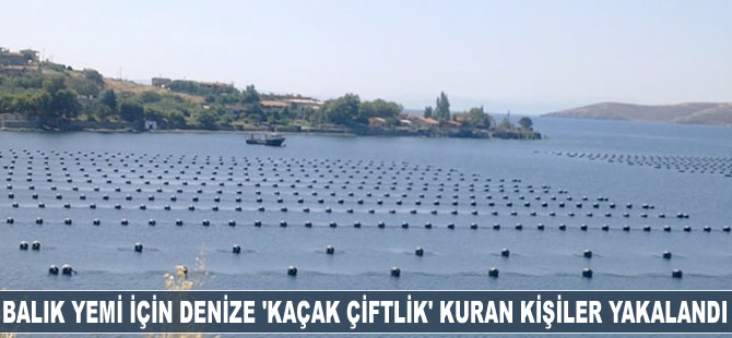 Balık yemi için denize 'kaçak çiftlik' kuran kişiler yakalandı