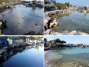 Çeşme kıyılarında meydana gelen petrol kirliliği, 4 ay süren çalışmalar sonucu tamamlandı