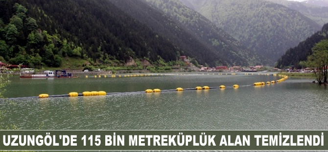 Uzungöl'de 115 bin metreküplük alan temizlendi
