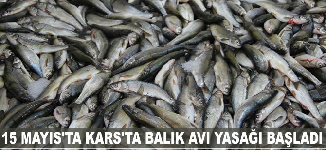 Kars’ta balık avı yasağı başladı