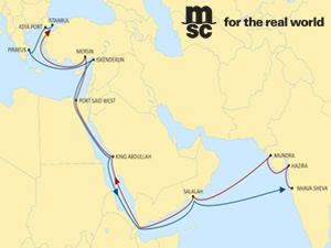 Cumhurbaşkanı Erdoğan'ın Hindistan ziyareti, MSC’yi harekete geçirdi