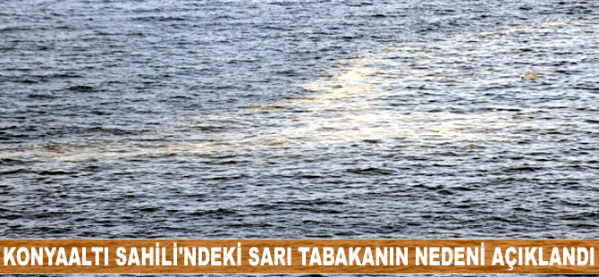 Konyaaltı Sahili'ndeki sarı tabakanın nedeni açıklandı