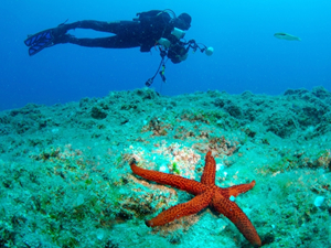 16. Uluslararası Kemer Sualtı Günleri başladı