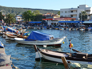 Foça'da sürdürülebilir balıkçılık çalıştayı yapılacak