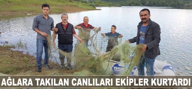 Ağlara takılan canlıları ekipler kurtardı