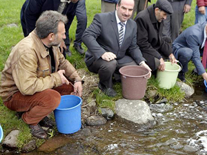 Ardahan'da 40 bin yavru alabalık dereye bırakıldı