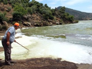 Bafa Gölü'ndeki kirlilik, tehlikeli boyuta ulaştı