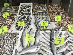 Ramazan geldi, balık fiyatları düştü