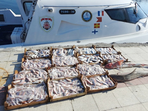 Trol tekneleriyle balık avlayanlara 20 bin lira ceza kesildi