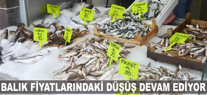 Balık fiyatlarındaki düşüş devam ediyor
